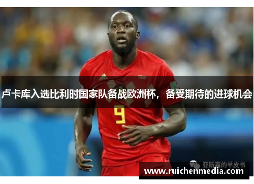 卢卡库入选比利时国家队备战欧洲杯，备受期待的进球机会