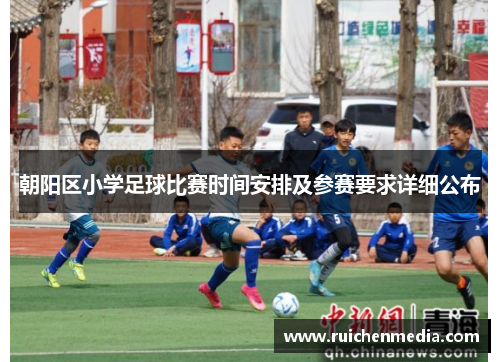 朝阳区小学足球比赛时间安排及参赛要求详细公布