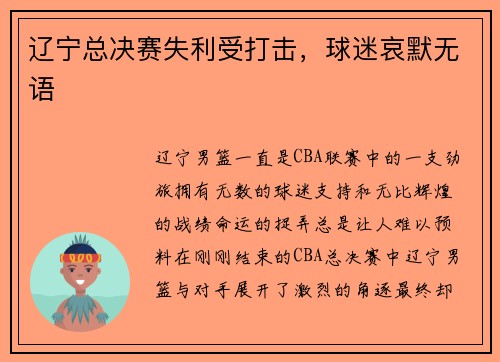 辽宁总决赛失利受打击，球迷哀默无语