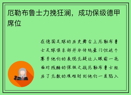 厄勒布鲁士力挽狂澜，成功保级德甲席位